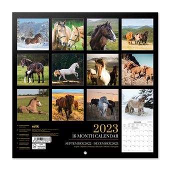 Calendrier mural 2023 Chevaux