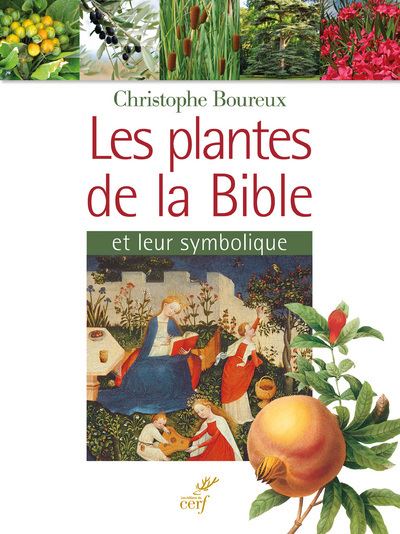 Les plantes de la Bible - Christophe Boureux - broché