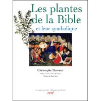 Les plantes de la Bible