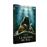 La Maison du mal DVD