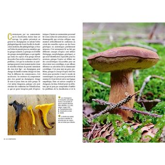 Reconnaître les bons champignons - Guide de terrain