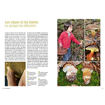 Reconnaître les bons champignons - Guide de terrain