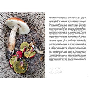 Reconnaître les bons champignons - Guide de terrain