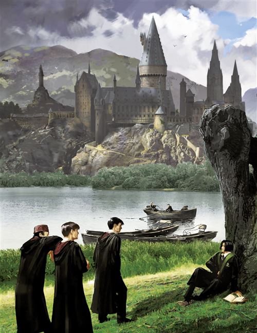 La collection Harry Potter au cinéma Tome 10 : villages et maisons de  sorciers - Jody Revenson - Huginn & Muninn - Grand format - Place des  Libraires