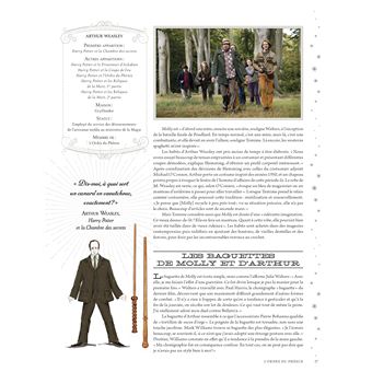 La collection Harry Potter au cinéma, vol 8