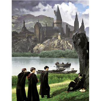 La collection Harry Potter au cinéma, vol 8