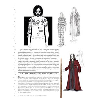 La collection Harry Potter au cinéma, vol 8