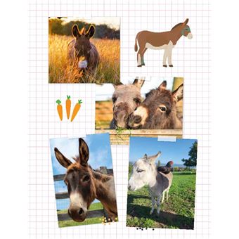 J'adopte mon premier âne