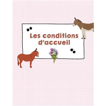 J'adopte mon premier âne