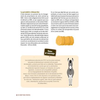 J'adopte mon premier âne