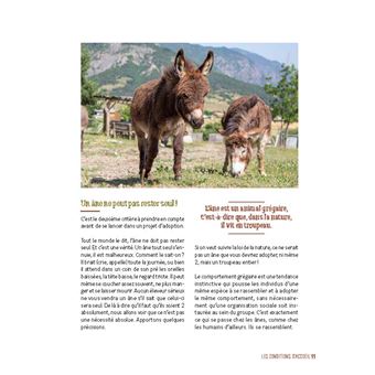 J'adopte mon premier âne