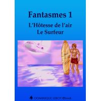 FANTASMES 1, L’Hôtesse de l’air, Le Surfeur