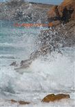 Les vagues de la vie