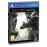 The Last Guardian PS4_1