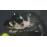 The Last Guardian PS4_3