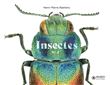 Insectes