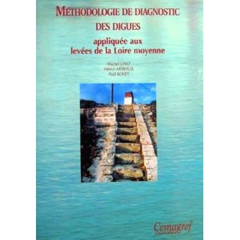 Methodologie de diagnostic des digues appliquee aux levees de la loire moyenne