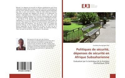 Politiques de securite, depenses de securite en afrique subs