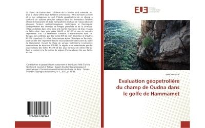 Evaluation geopetroliere du champ de oudna dans le golfe de