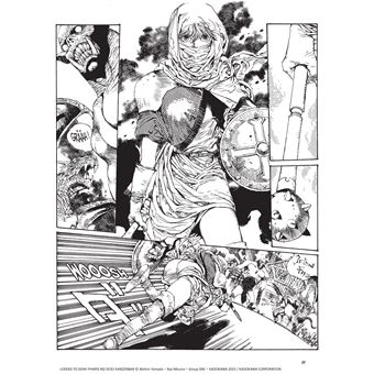 Les Chroniques de la Guerre de Lodoss - La Dame de Falis T01