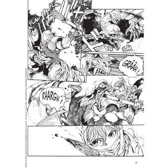 Les Chroniques de la Guerre de Lodoss - La Dame de Falis T01