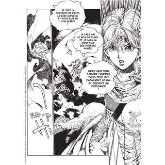 Les Chroniques de la Guerre de Lodoss - La Dame de Falis T01