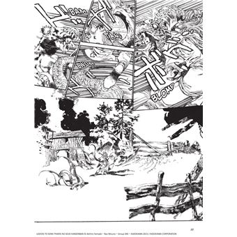 Les Chroniques de la Guerre de Lodoss - La Dame de Falis T01