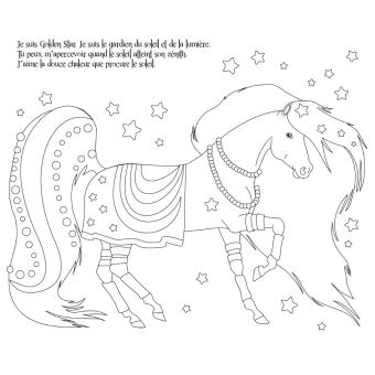 Mon coffret paillettes - Chevaux