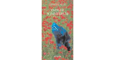 Papaver somniferum (au coin du bois)