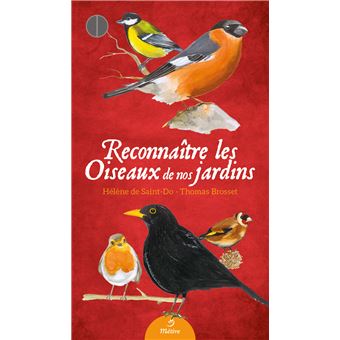 Reconnaître les oiseaux de nos jardins
