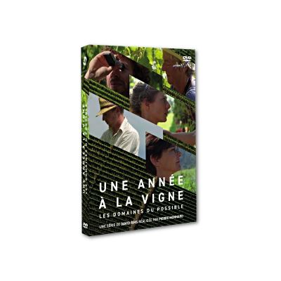 Une année à la vigne - Les domaines du possible