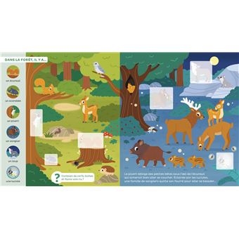 Les animaux le jour et la nuit