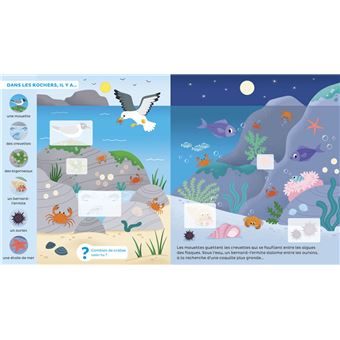 Les animaux le jour et la nuit