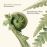VIOLIN CONCERTOS_0