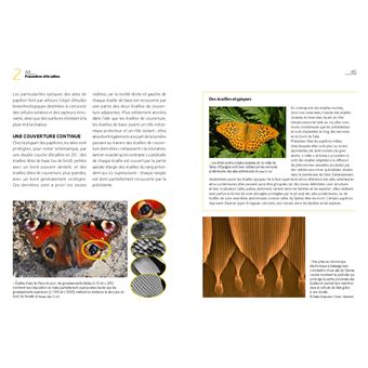 La Vie des papillons d'Europe