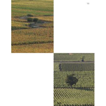 Bouchard Père & Fils (version GB)