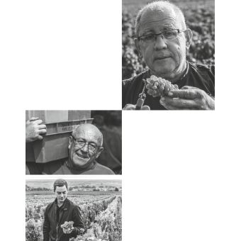 Bouchard Père & Fils (version GB)