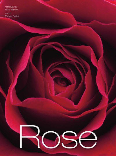 Roses - Natalia Fedeli - cartonné