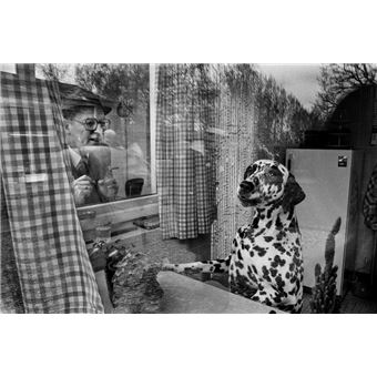 Harry Gruyaert par Brice Matthieussent