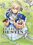 Le lien du destin T03 - FIN