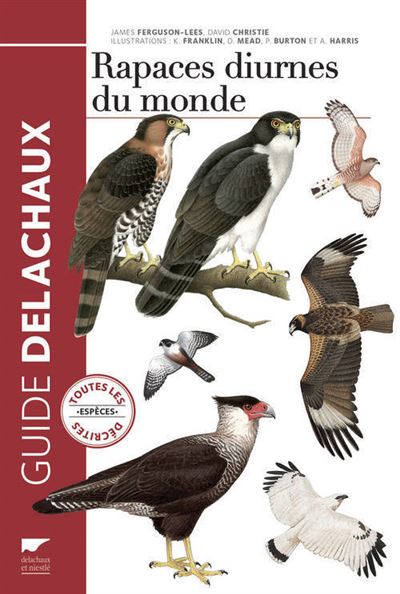 Guide des rapaces diurnes du monde