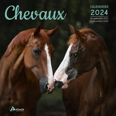 Calendrier Chevaux - artemis - 9782816016659 - Livre 