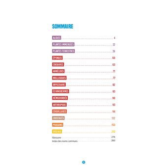 Guide nature Vagnon - Le bord de mer - Observer et reconnaître 250 espèces
