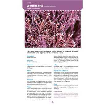 Guide nature Vagnon - Le bord de mer - Observer et reconnaître 250 espèces