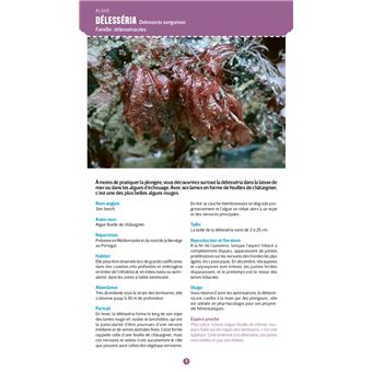 Guide nature Vagnon - Le bord de mer - Observer et reconnaître 250 espèces