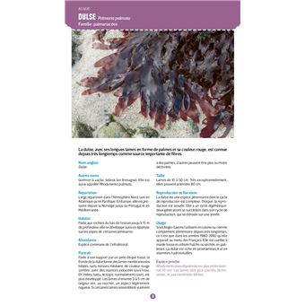 Guide nature Vagnon - Le bord de mer - Observer et reconnaître 250 espèces