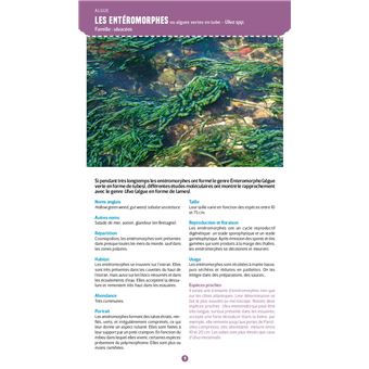 Guide nature Vagnon - Le bord de mer - Observer et reconnaître 250 espèces