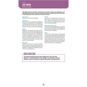 Guide nature Vagnon - Le bord de mer - Observer et reconnaître 250 espèces