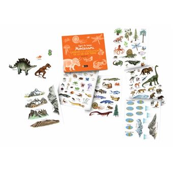 Ligne du temps Montessori - L'arrivée et l'évolution de la vie sur terre