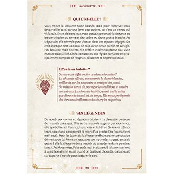 Les messages des oiseaux